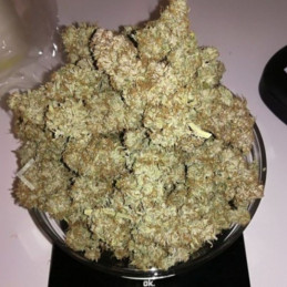 S.A.D. Sweet Afgani...