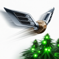 Nasiona marihuany półautomatyczne (Fast Version)